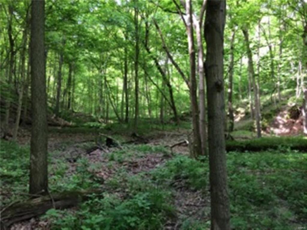 0 Meadow Branch Road Grafton, IL 62037 - Photo 25 of 28