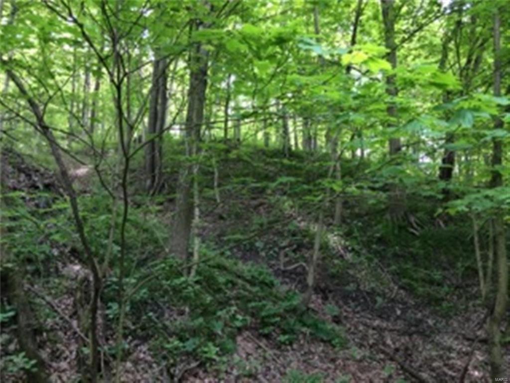 0 Meadow Branch Road Grafton, IL 62037 - Photo 26 of 28