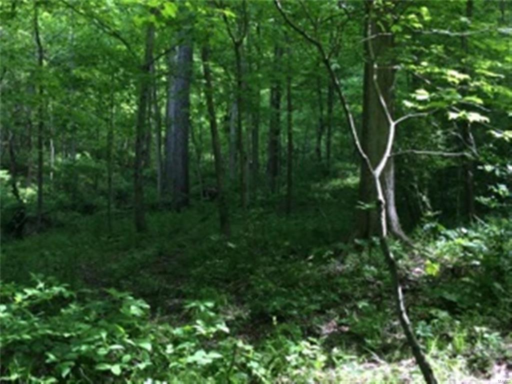 0 Meadow Branch Road Grafton, IL 62037 - Photo 27 of 28