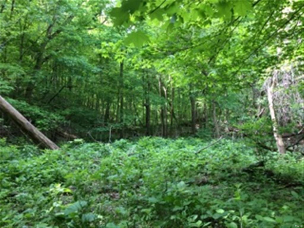 0 Meadow Branch Road Grafton, IL 62037 - Photo 28 of 28