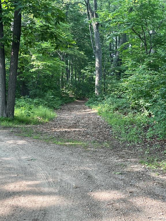 3005 West Commerce Road Milford, MI 48380 - Photo 47 of 54 Gallery Image 47