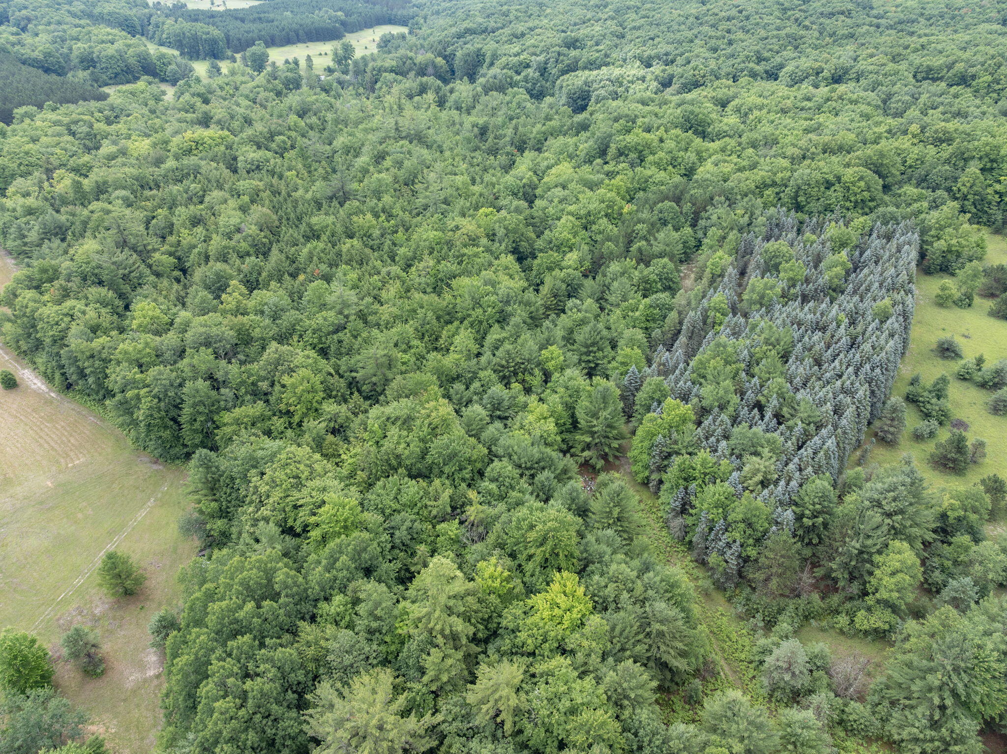 9191 West 34 Road Harrietta, MI 49638 - Photo 8 of 54 5-web-or-mls-DJI_20260627183519_0642_D