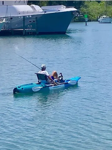 a wooden bench sitting in a backyard