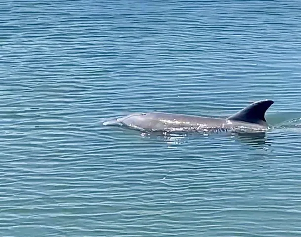 a view of a room with a wooden wall