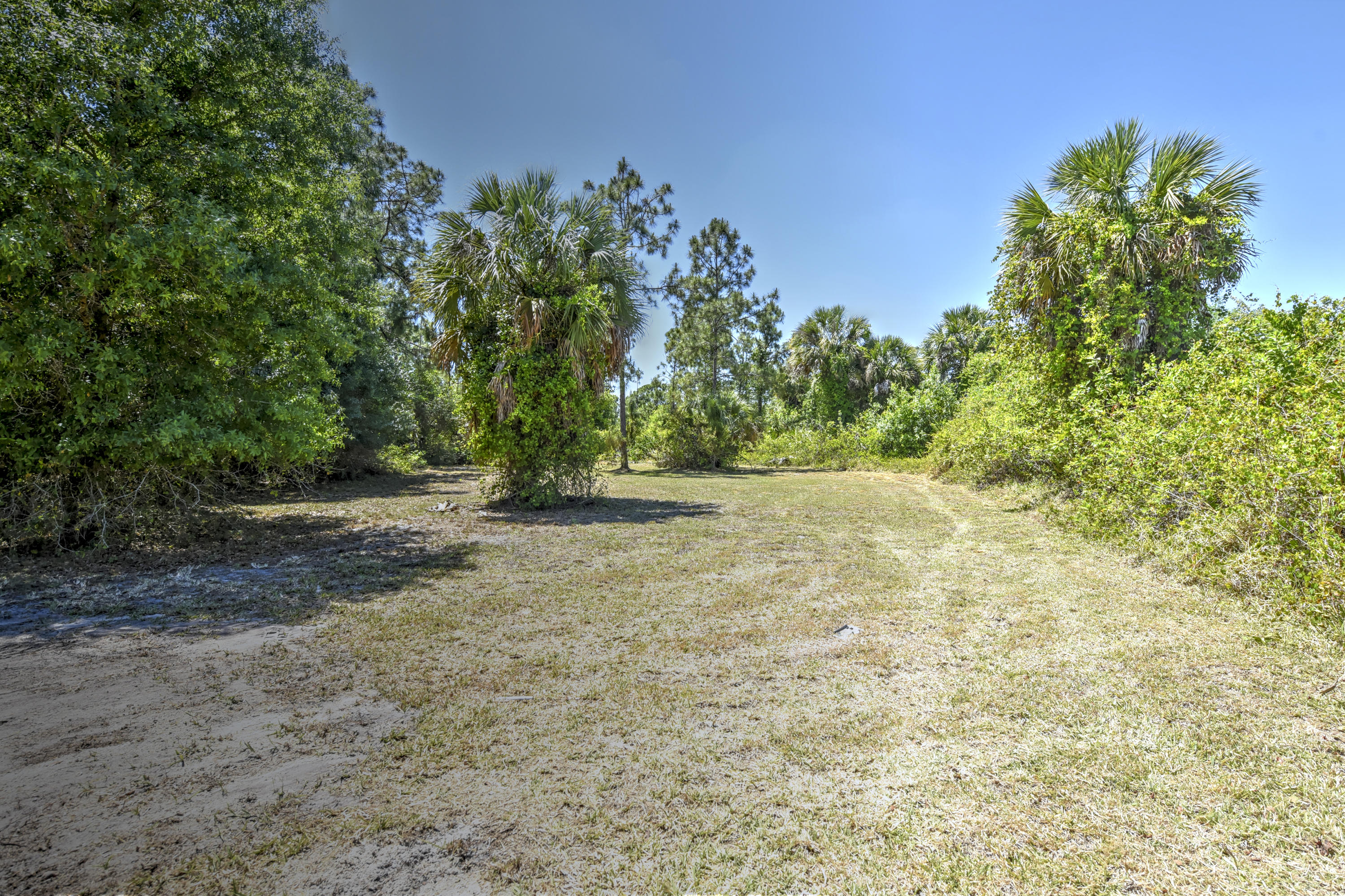 271 18th Street Southeast Naples, FL 34117 - Photo 27 of 28 a view of backyard with green space