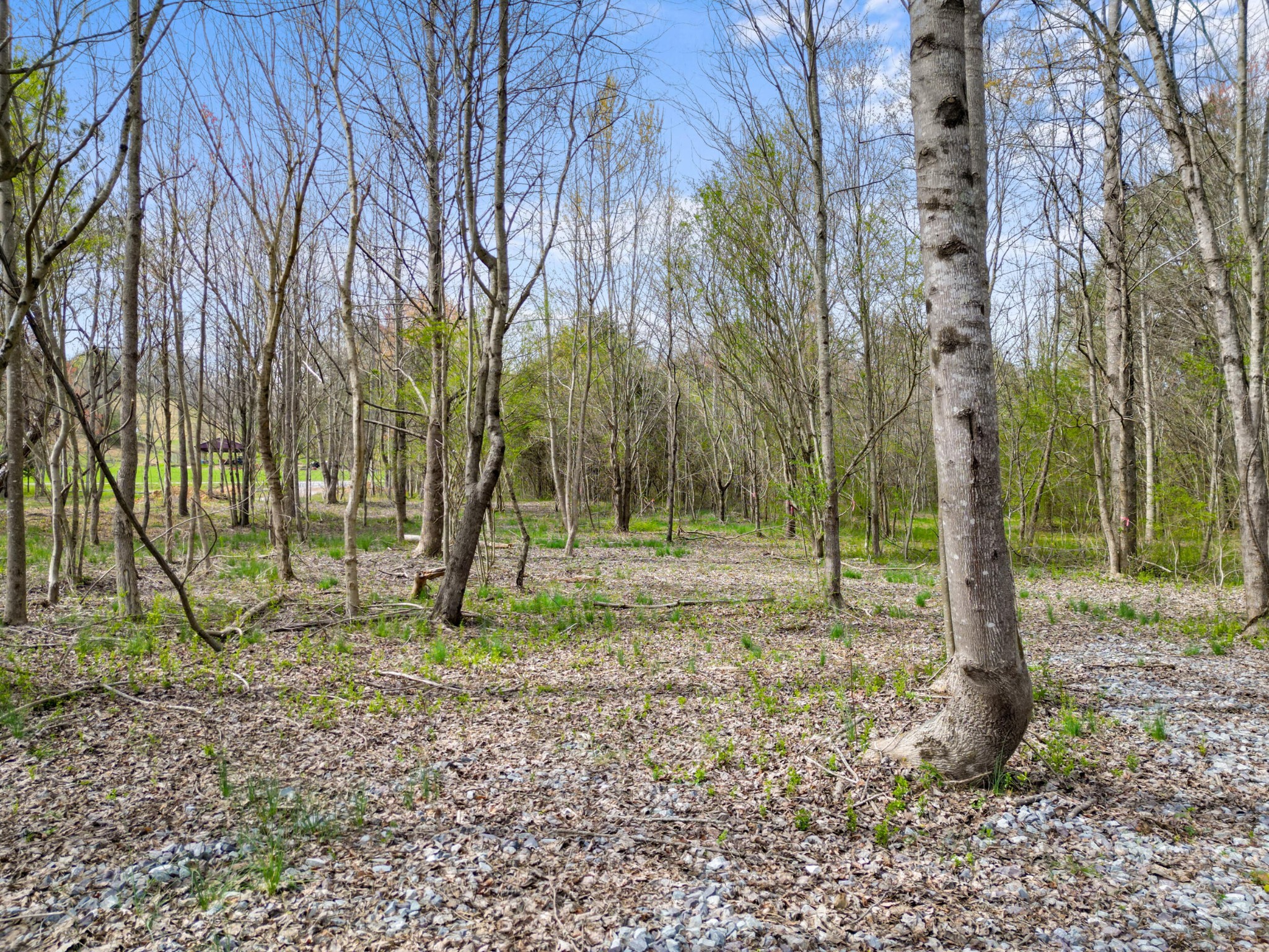 3354 Cherokee Valley Road Ringgold, GA 30736 - Photo 15 of 20 a backyard of a house with lots of green space
