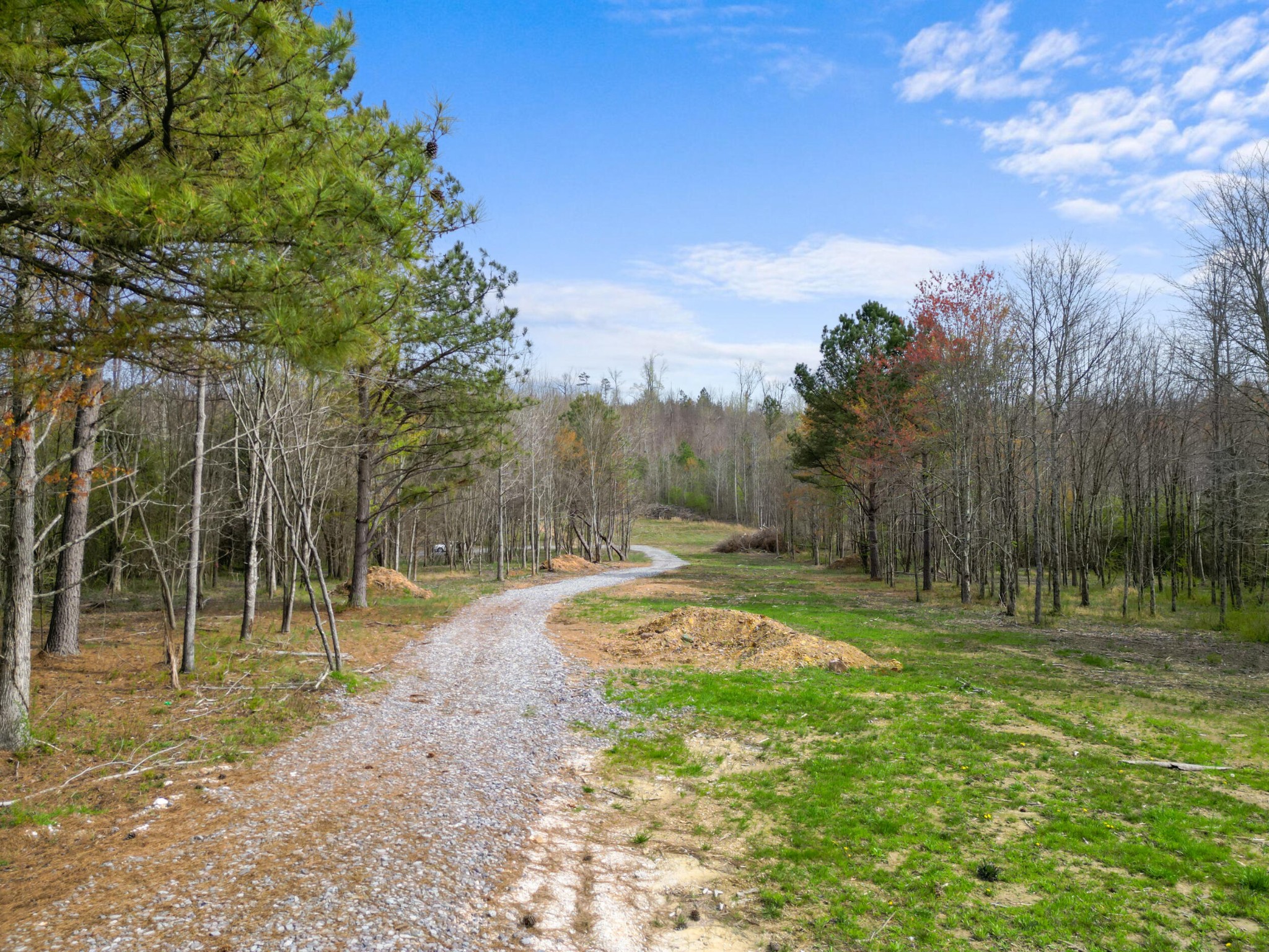3354 Cherokee Valley Road Ringgold, GA 30736 - Photo 17 of 20 a view of a park with large trees