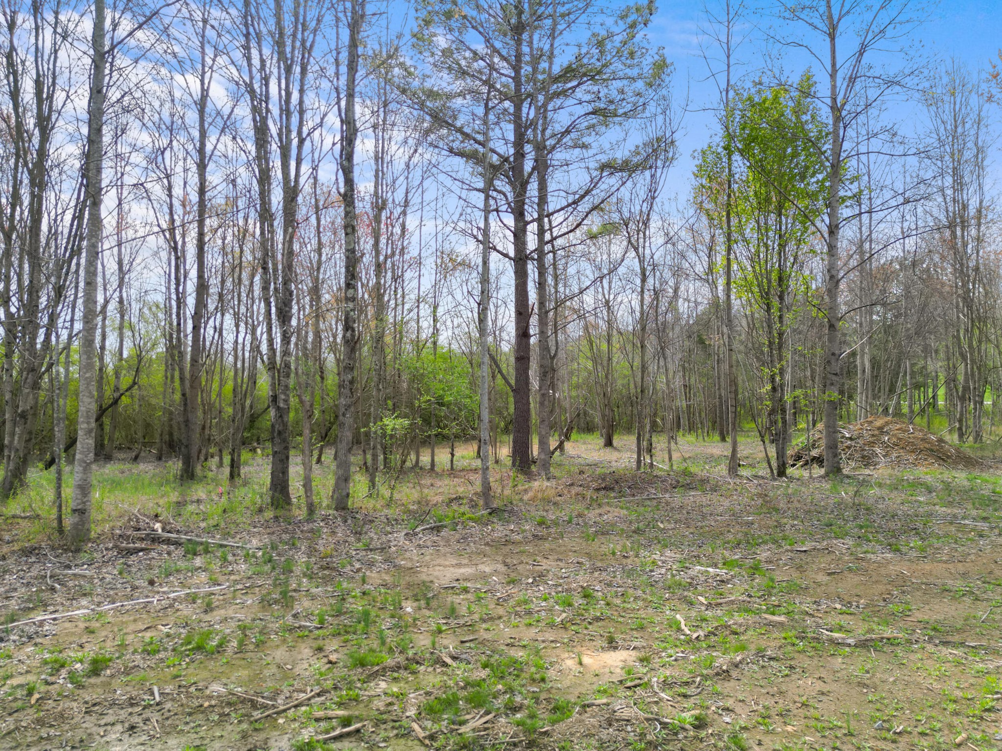 3354 Cherokee Valley Road Ringgold, GA 30736 - Photo 18 of 20 a view of outdoor space with trees