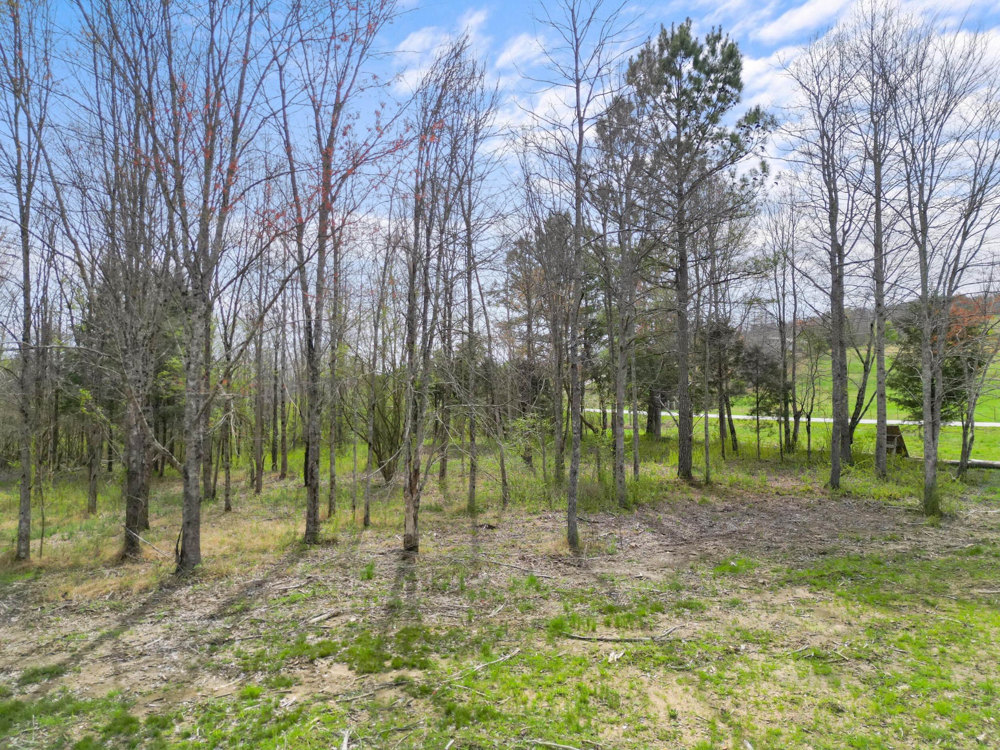 3354 Cherokee Valley Road Ringgold, GA 30736 - Photo 19 of 20 a view of outdoor space with trees