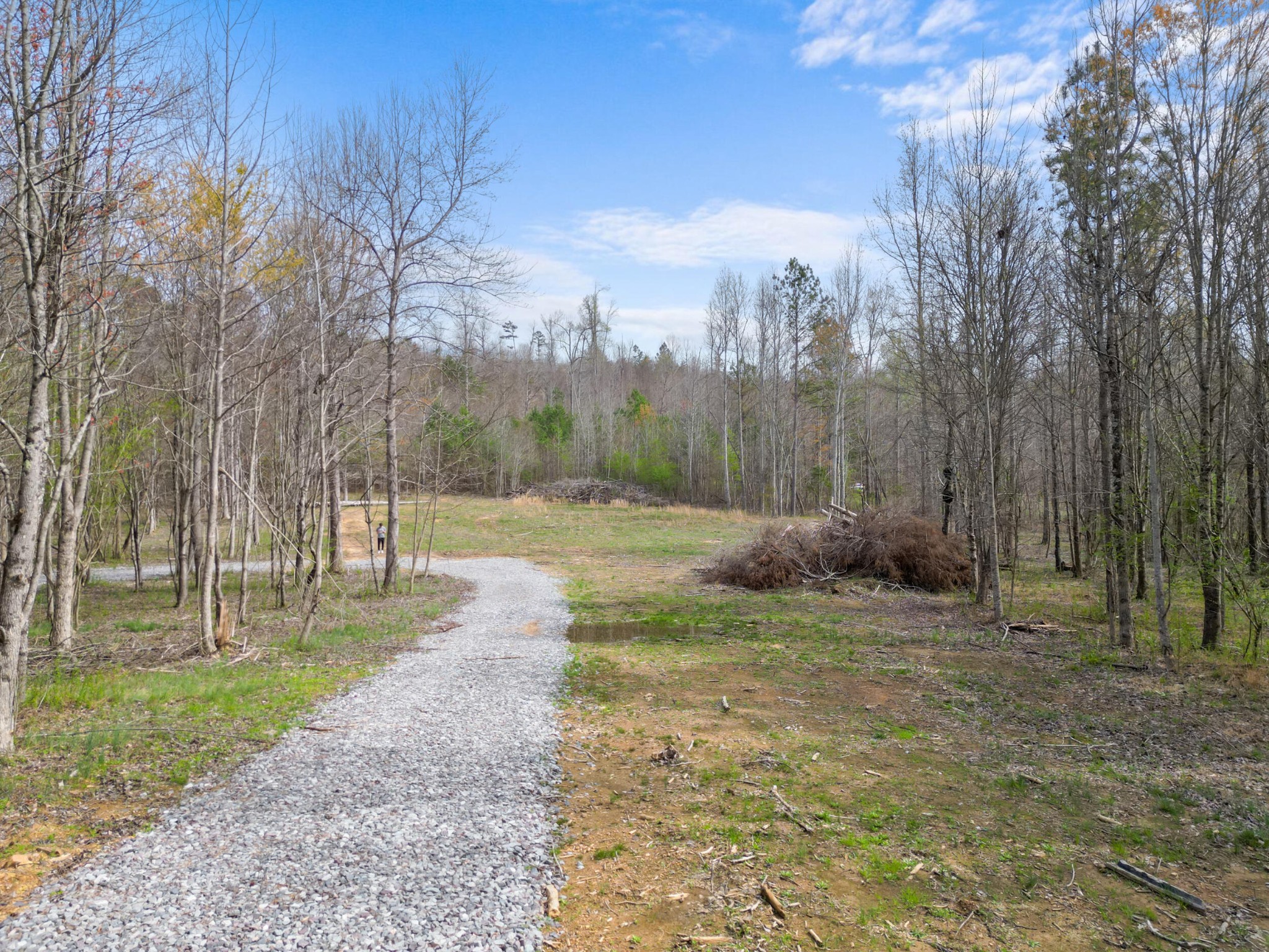 3354 Cherokee Valley Road Ringgold, GA 30736 - Photo 20 of 20 a view of a park with large trees