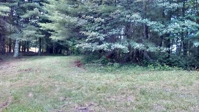 0 Martin Knoll Road Laurel Springs, NC 28644 - Photo 1 of 7 Gallery Image 1
