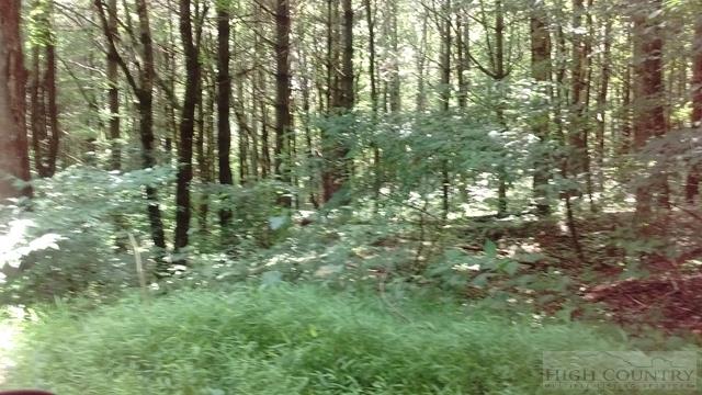 0 Martin Knoll Road Laurel Springs, NC 28644 - Photo 5 of 7 Gallery Image 5