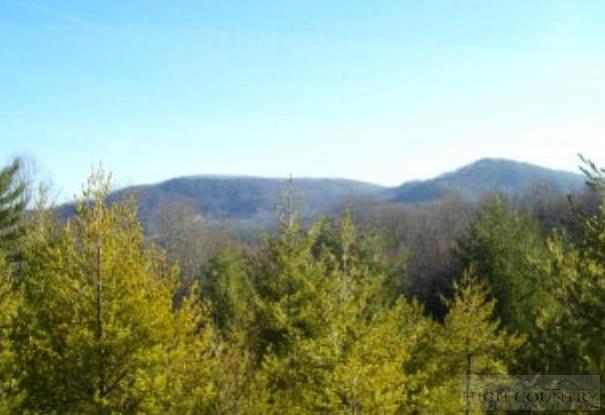 0 Martin Knoll Road Laurel Springs, NC 28644 - Photo 7 of 7 Gallery Image 7