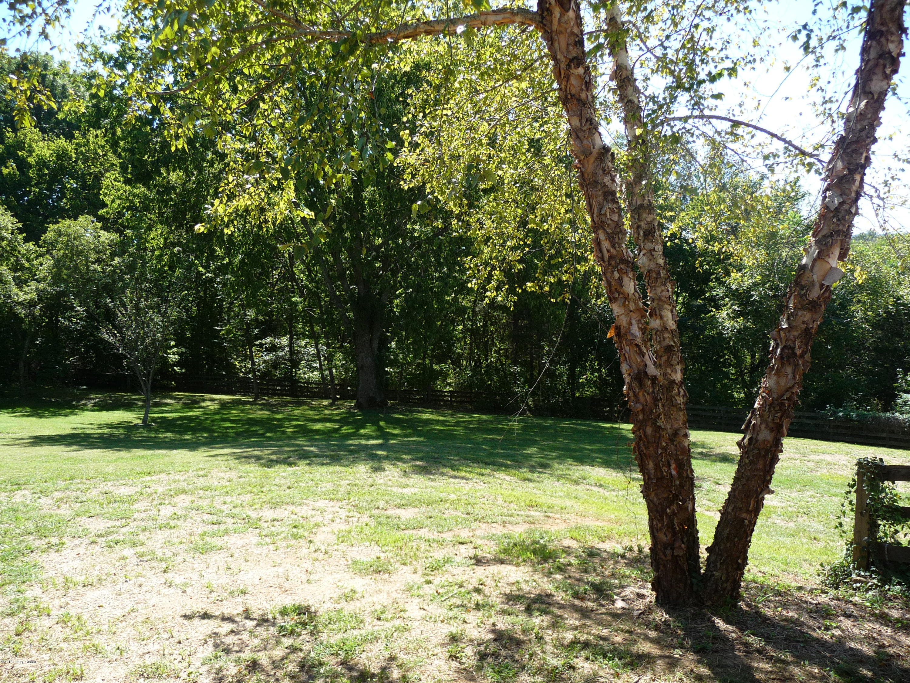 6455 New Hope Road New Hope, KY 40052 - Photo 30 of 30 P1030686