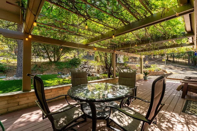 a view of a yard with plants and trees