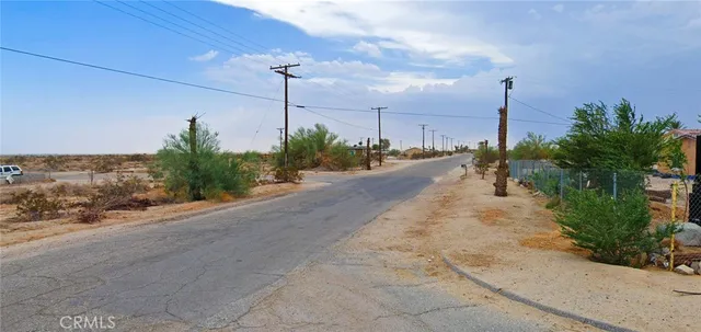 a row of palm trees and a yard with wooden fence