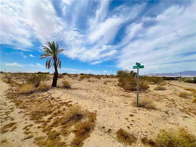 a view of beach and ocean