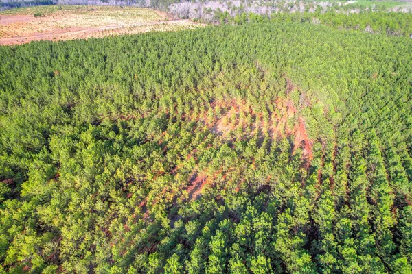 $840,000 | 0 Old Thomson Road, Wrens, GA 30833