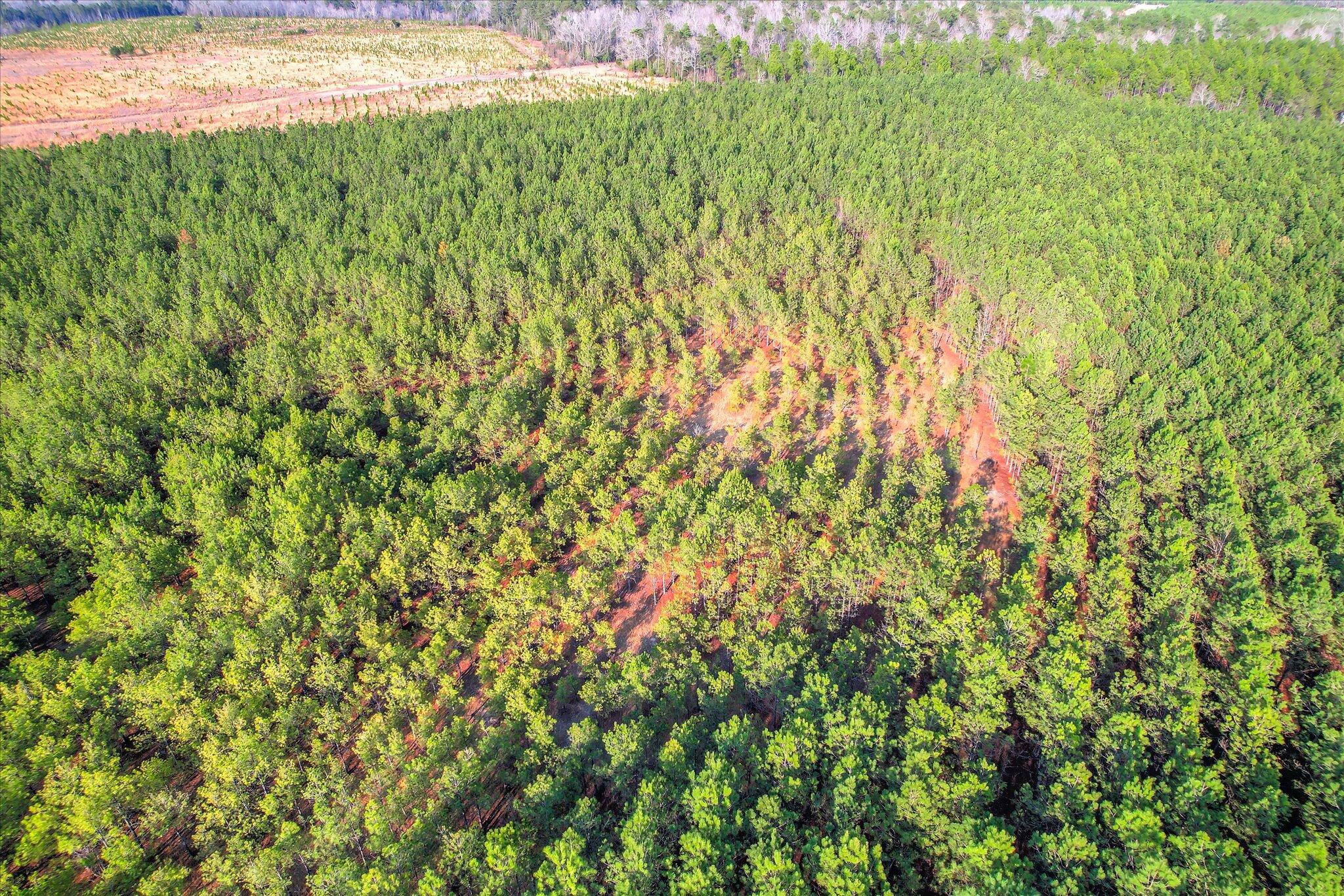 0 Old Thomson Road Wrens, GA 30833 - Photo 11 of 17 11-111