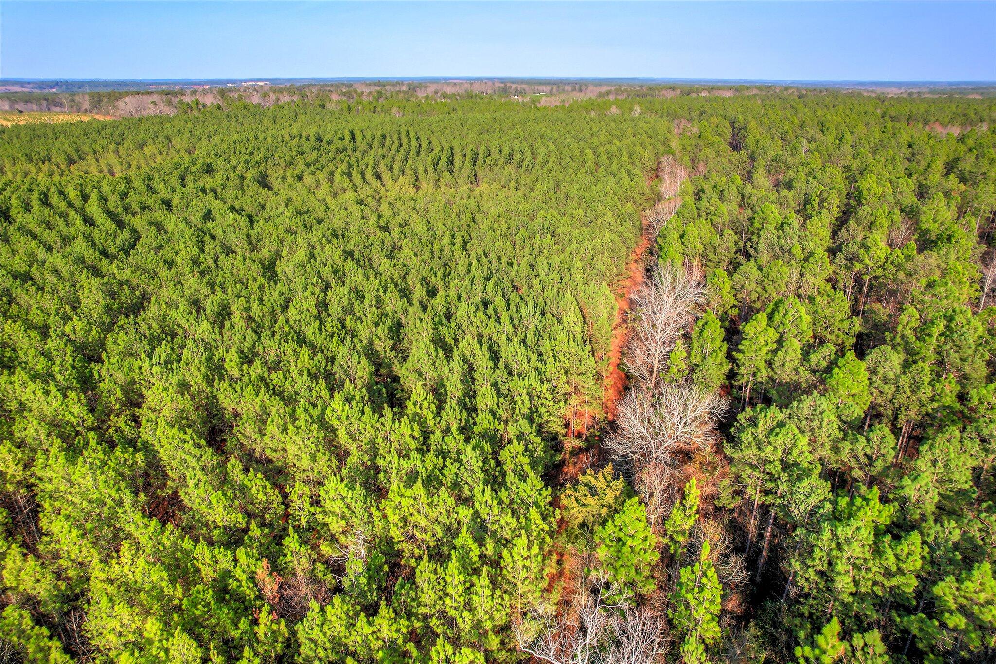 0 Old Thomson Road Wrens, GA 30833 - Photo 15 of 17 15-115