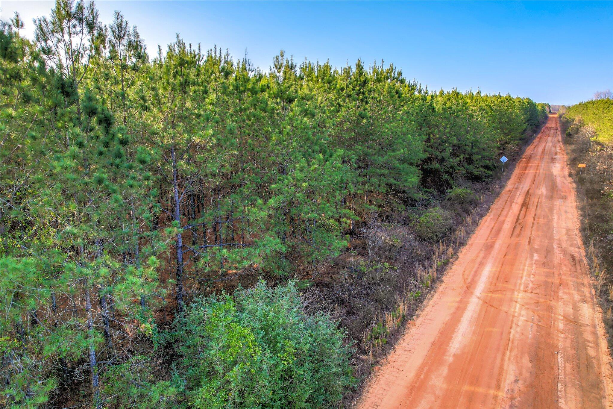 0 Old Thomson Road Wrens, GA 30833 - Photo 16 of 17 16-116