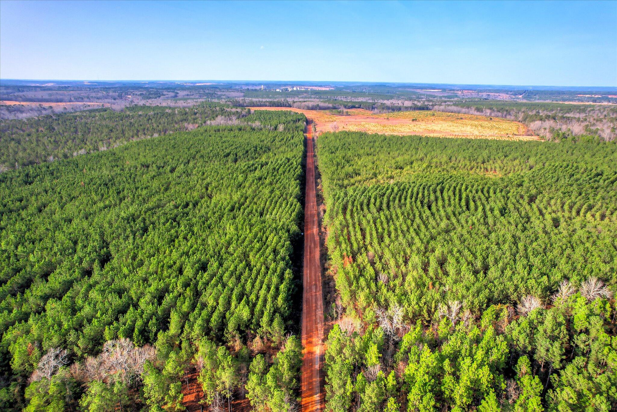 0 Old Thomson Road Wrens, GA 30833 - Photo 2 of 17 02-102