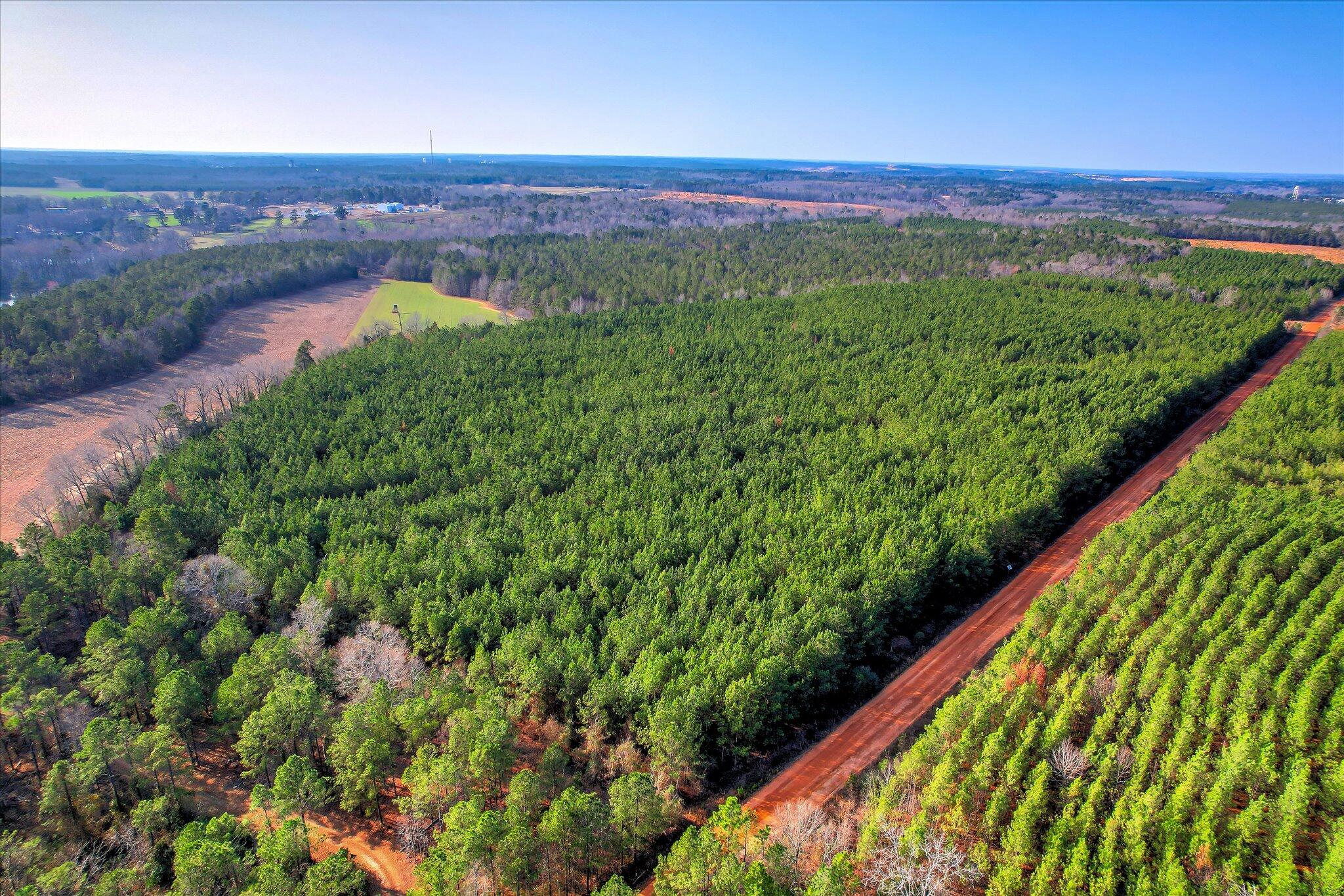 0 Old Thomson Road Wrens, GA 30833 - Photo 3 of 17 03-103