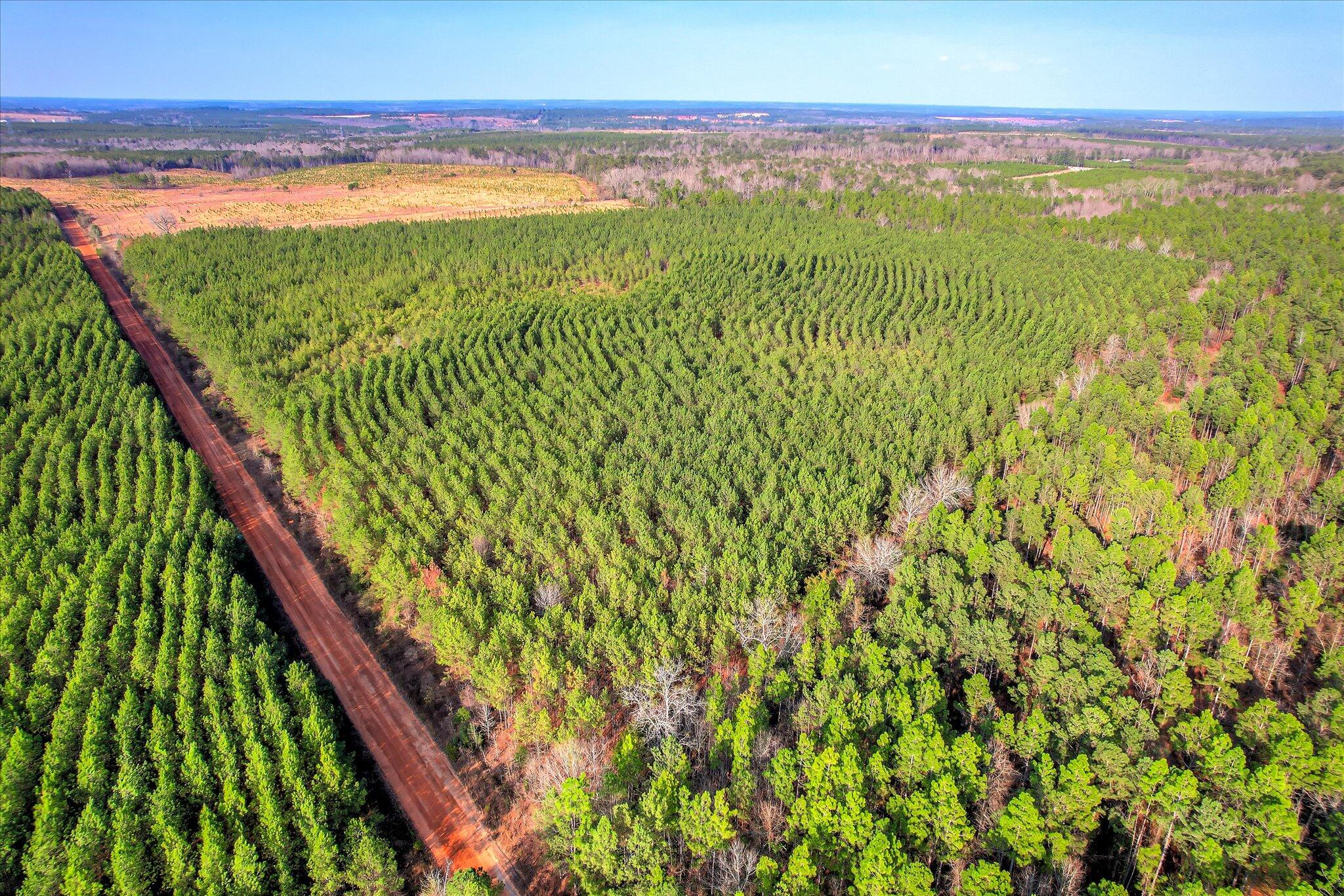 0 Old Thomson Road Wrens, GA 30833 - Photo 4 of 17 04-104