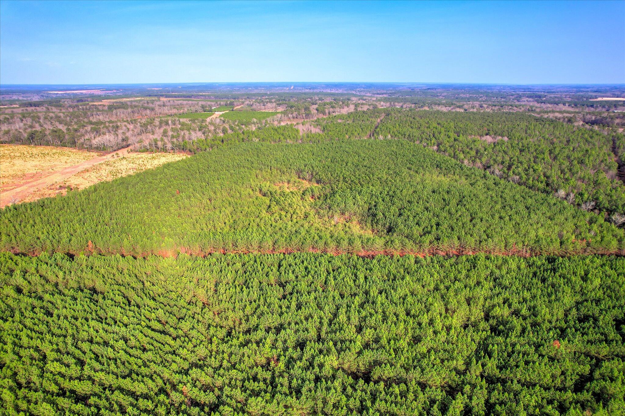 0 Old Thomson Road Wrens, GA 30833 - Photo 5 of 17 05-105