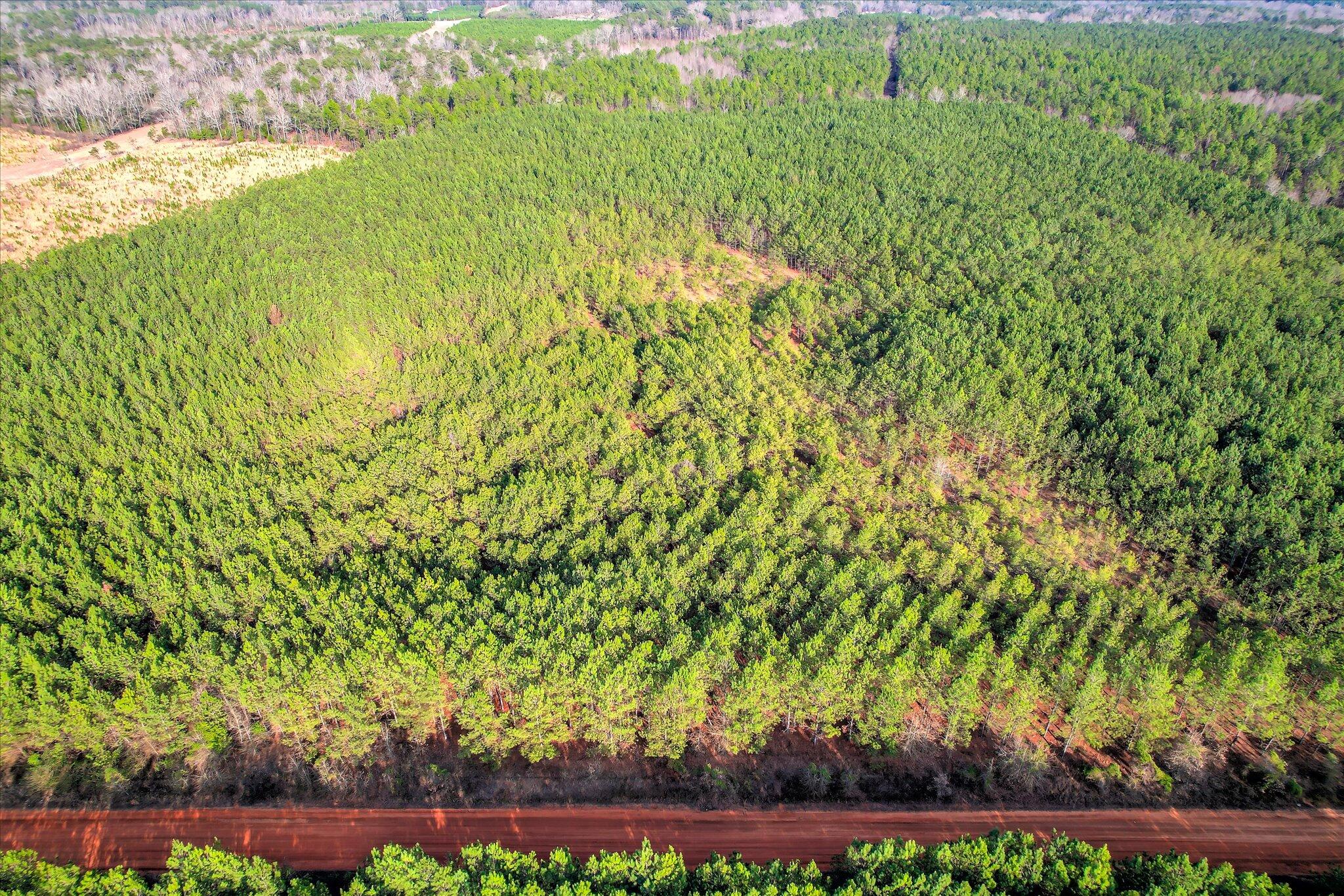 0 Old Thomson Road Wrens, GA 30833 - Photo 6 of 17 06-106