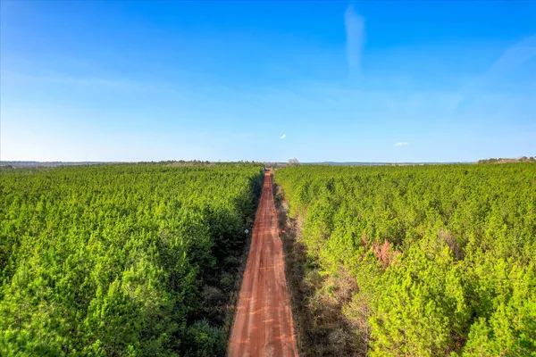 $840,000 | 0 Old Thomson Road, Wrens, GA 30833