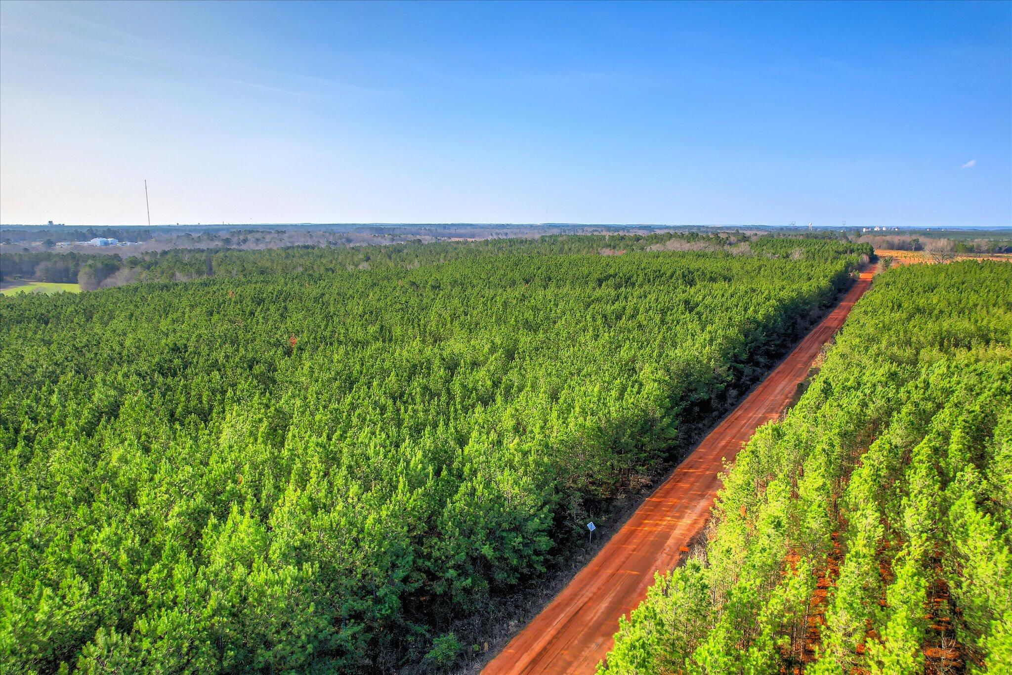 0 Old Thomson Road Wrens, GA 30833 - Photo 8 of 17 08-108