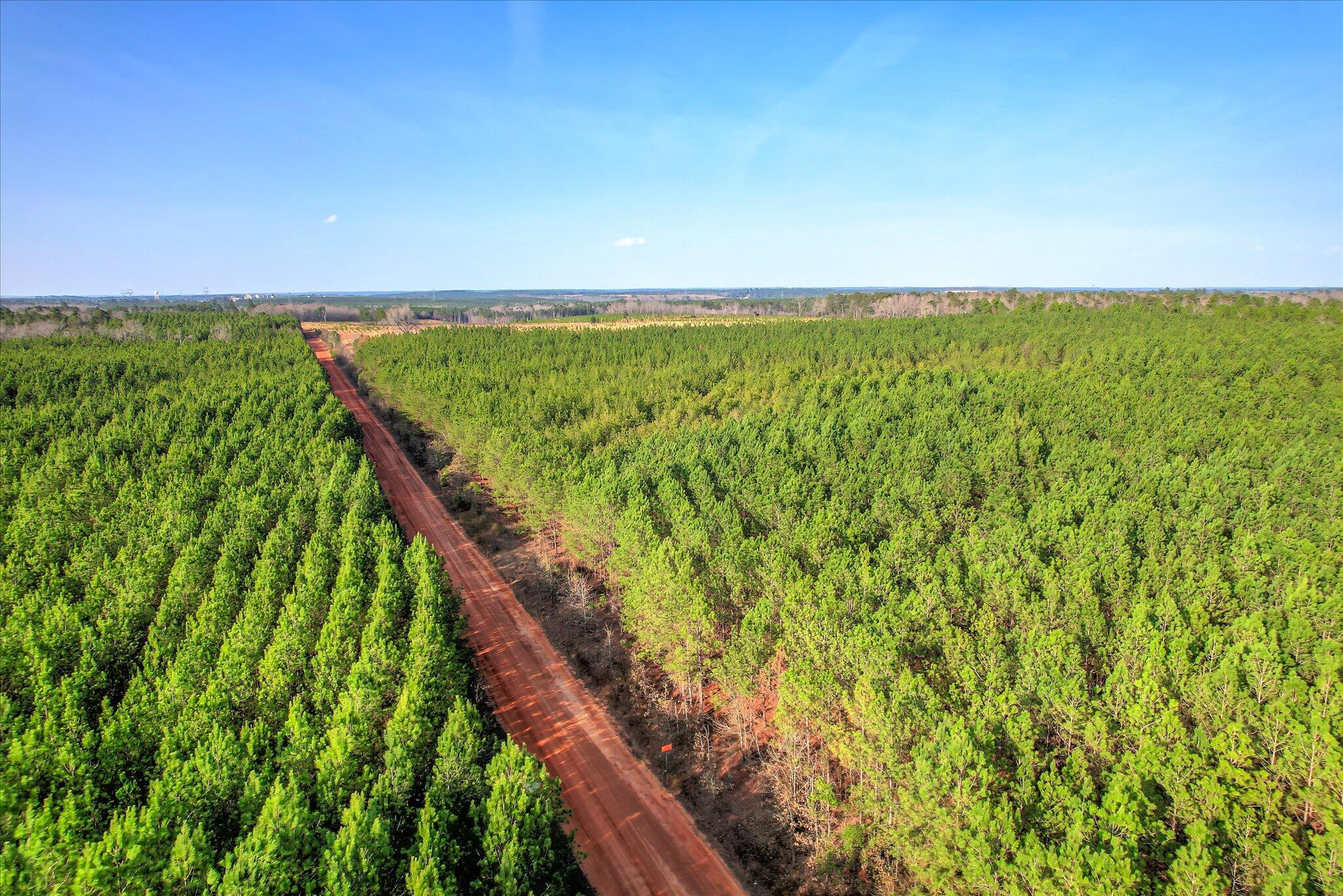 0 Old Thomson Road Wrens, GA 30833 - Photo 9 of 17 09-109
