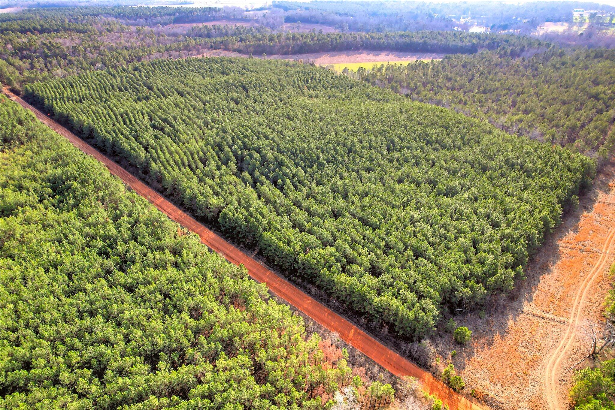 0 Old Thomson Road Wrens, GA 30833 - Photo 10 of 17 10-110