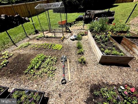 12704 Theresa Drive Silver Spring, MD 20904 - Photo 57 of 60 Organic Garden last season