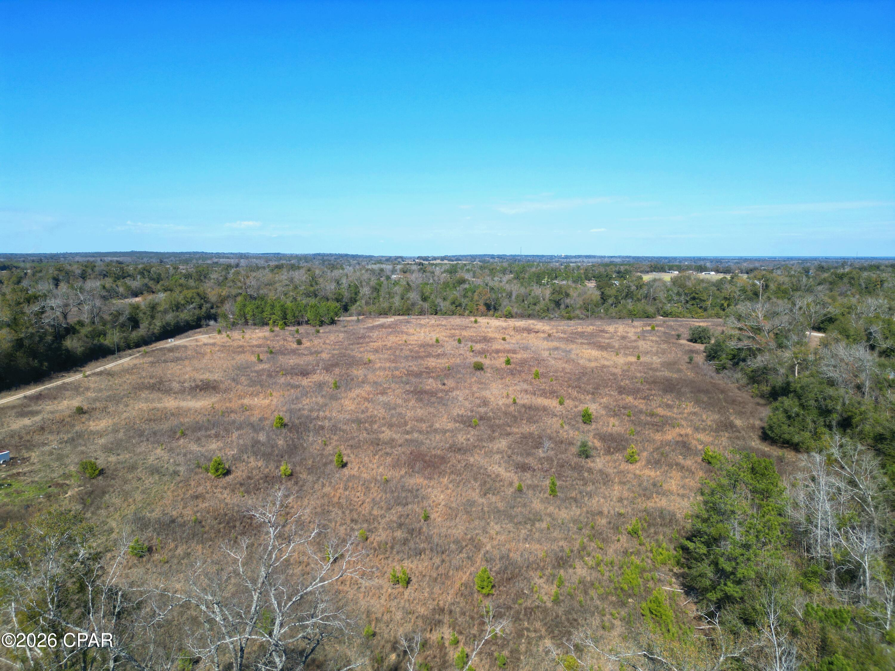7849 Leatherneck Trail Grand Ridge, FL 32442 - Photo 11 of 22