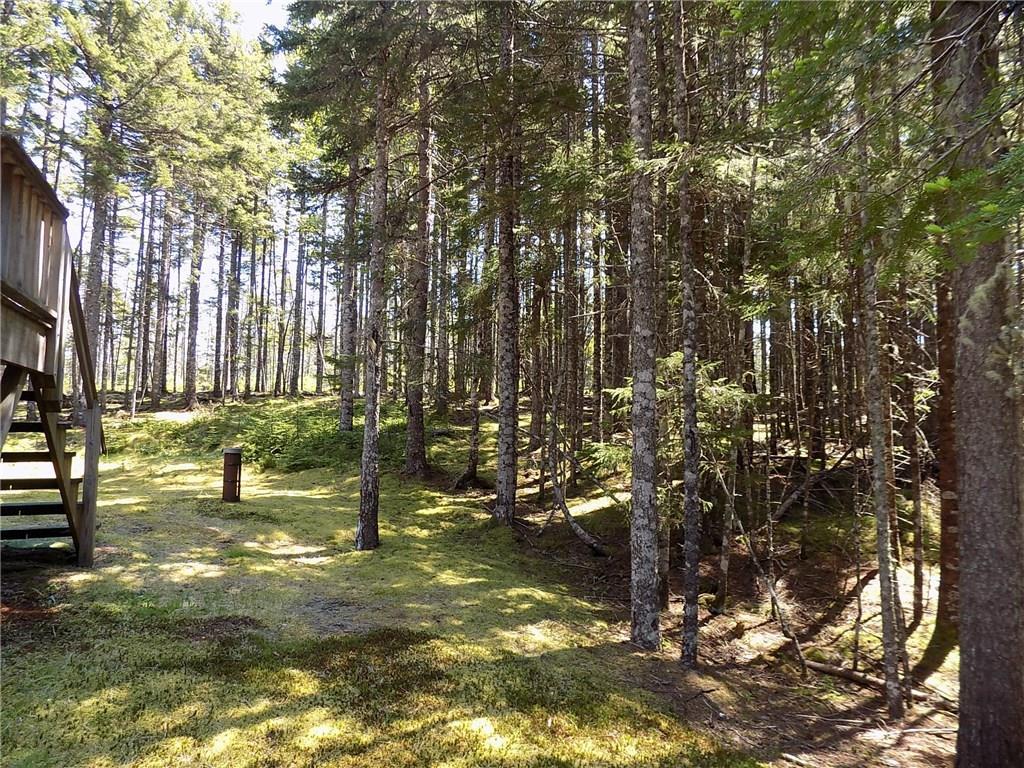 245 Johnson Cove Road Roque Bluffs, ME 04654 - Photo 14 of 33 The home is nestled in the trees