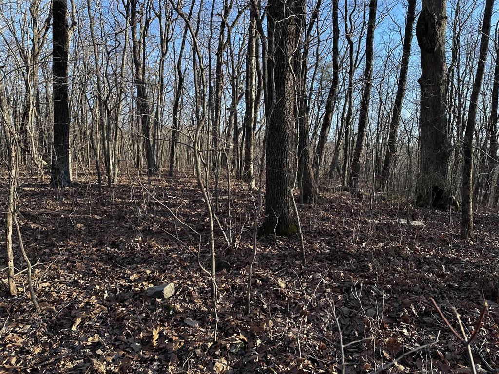 183 St. Andrews Way Ellijay, GA 30536 - Photo 11 of 21 a view of a yard