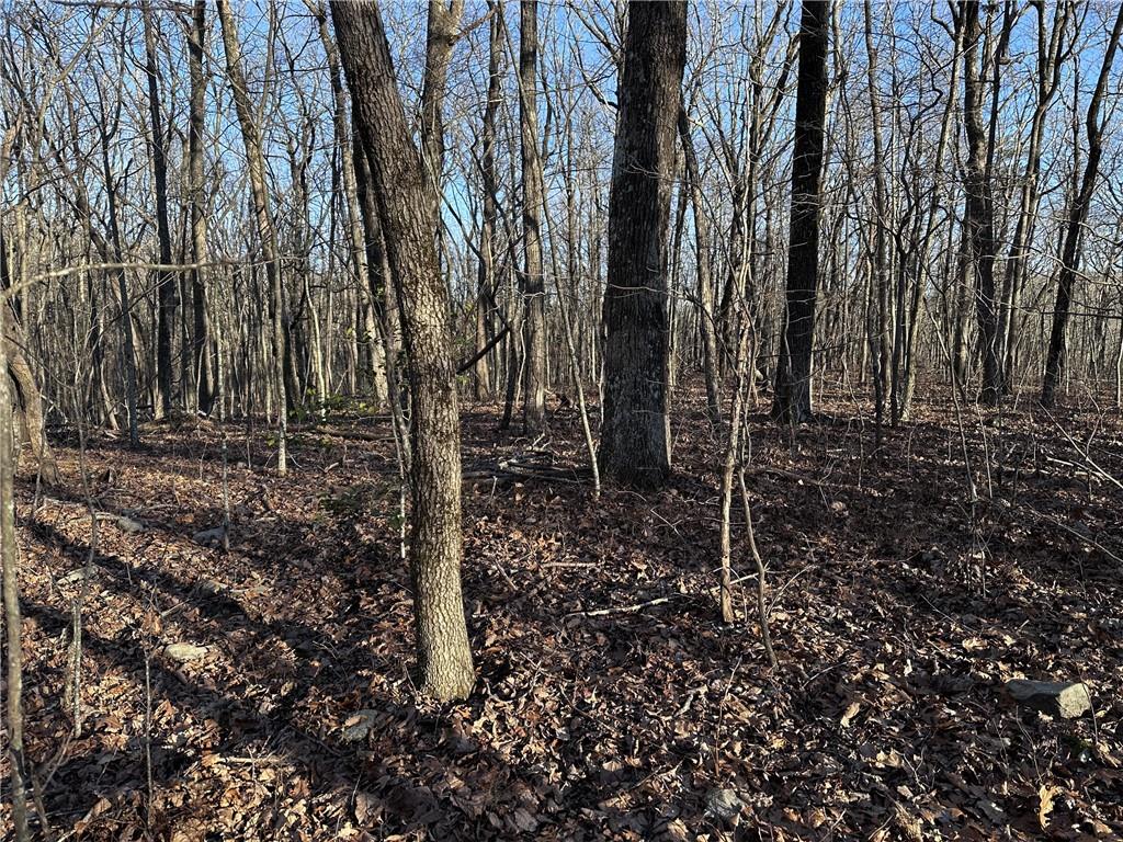 183 St. Andrews Way Ellijay, GA 30536 - Photo 12 of 21 a backyard of a house with lots of green space