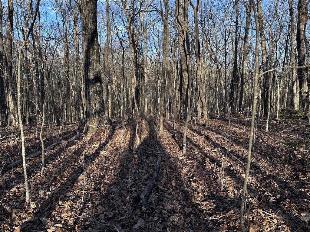 183 St. Andrews Way Ellijay, GA 30536 - Photo 13 of 21 a view of forest
