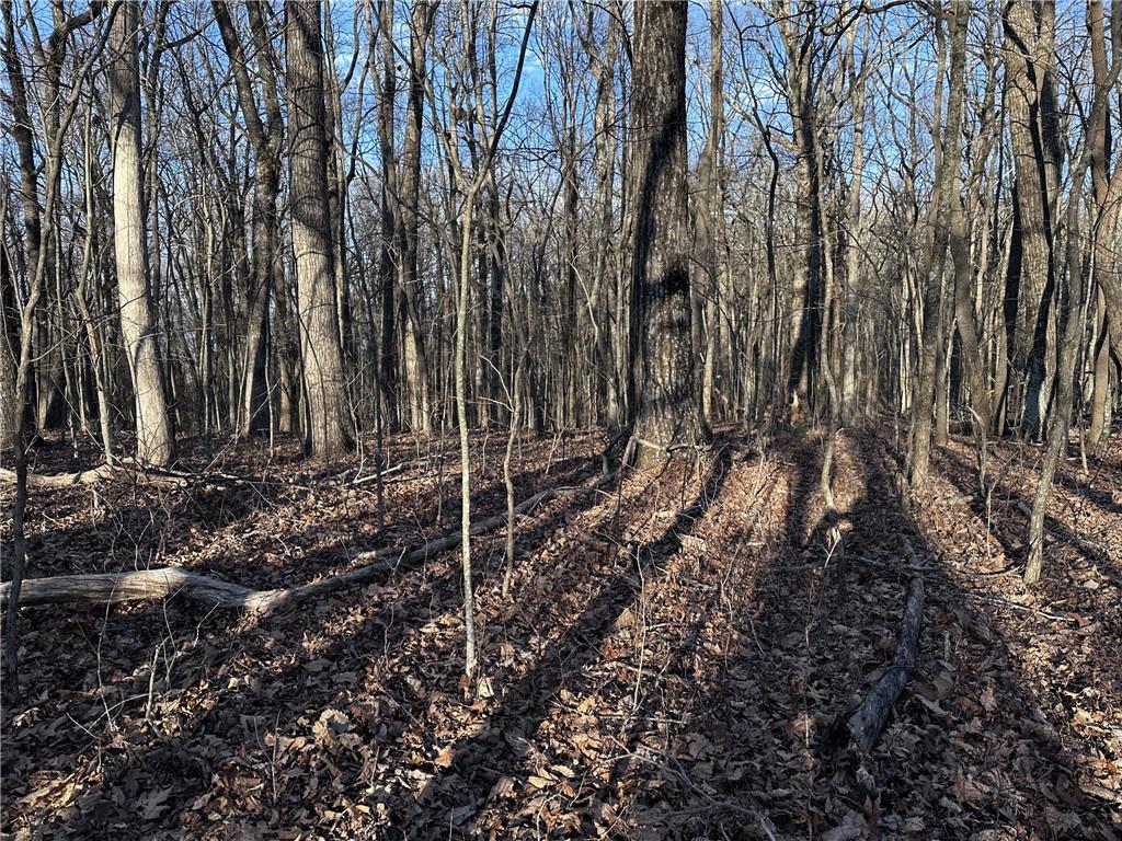 183 St. Andrews Way Ellijay, GA 30536 - Photo 14 of 21