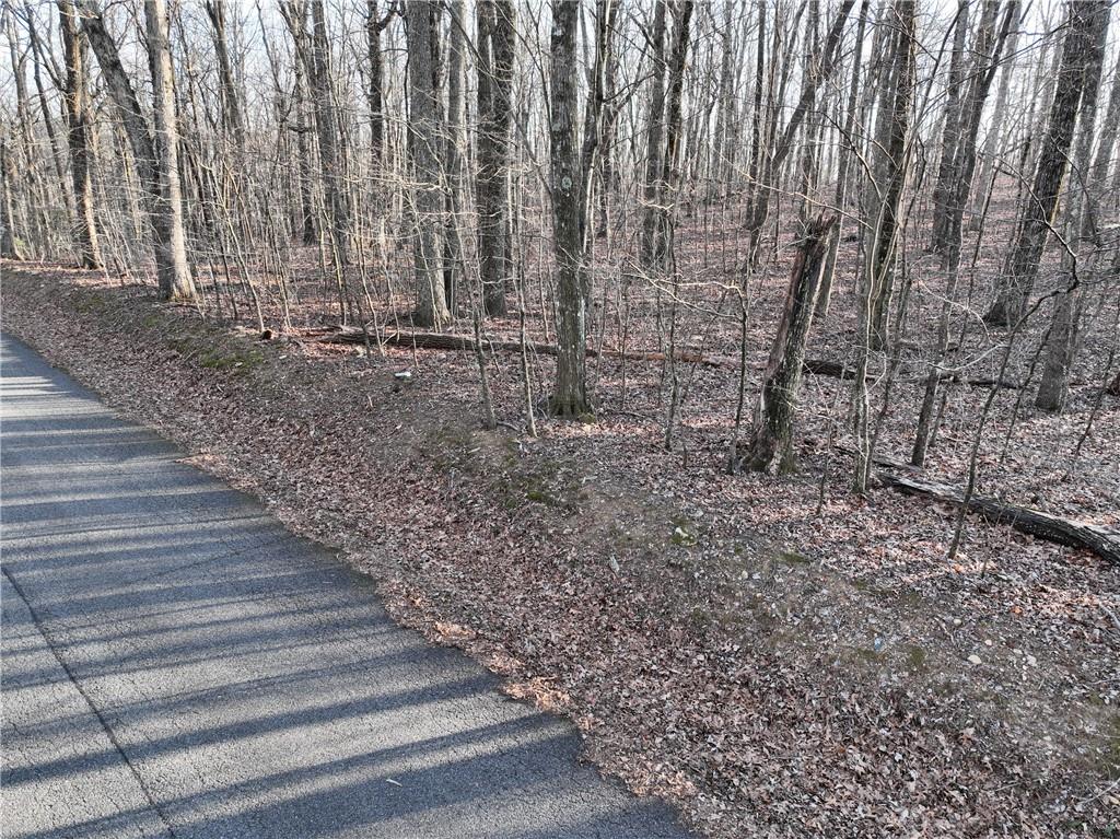 183 St. Andrews Way Ellijay, GA 30536 - Photo 15 of 21 a view of entryway with wooden floor