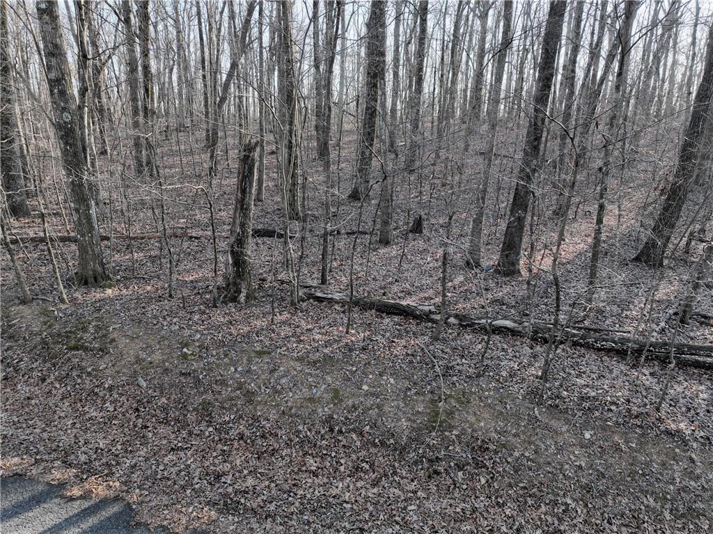 183 St. Andrews Way Ellijay, GA 30536 - Photo 16 of 21 a view of a yard with trees in the background