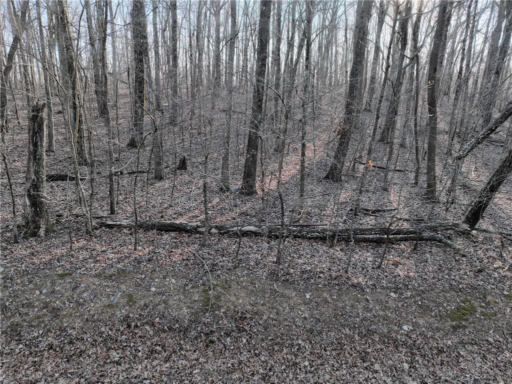 183 St. Andrews Way Ellijay, GA 30536 - Photo 17 of 21 a view of a dry yard with trees