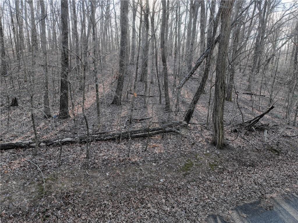 183 St. Andrews Way Ellijay, GA 30536 - Photo 18 of 21 a view of a backyard with trees