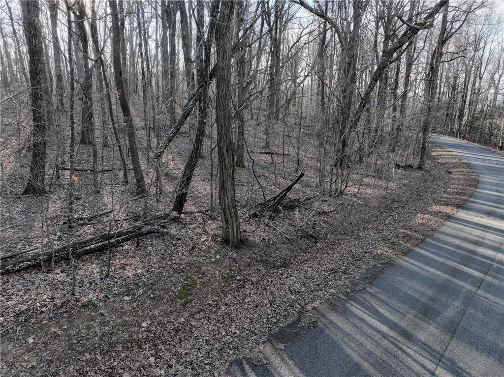 183 St. Andrews Way Ellijay, GA 30536 - Photo 19 of 21 a backyard of a house with lots of green space
