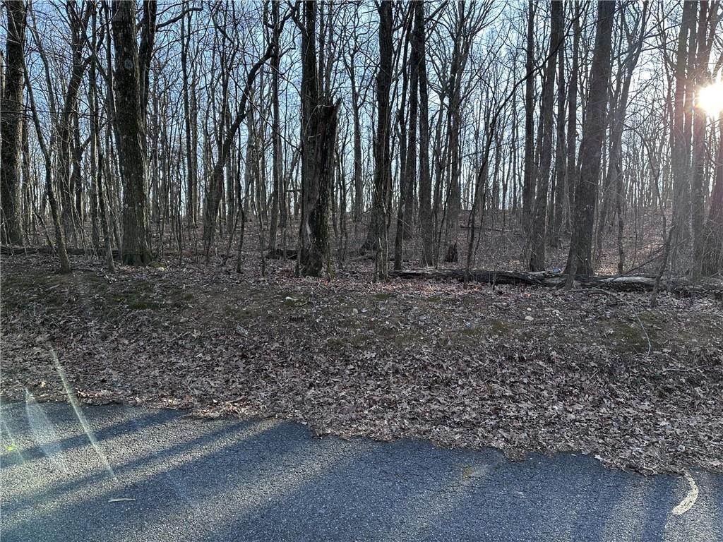 183 St. Andrews Way Ellijay, GA 30536 - Photo 3 of 21 a view of a yard with trees