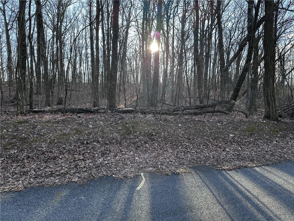 183 St. Andrews Way Ellijay, GA 30536 - Photo 4 of 21 a view of a yard with large trees