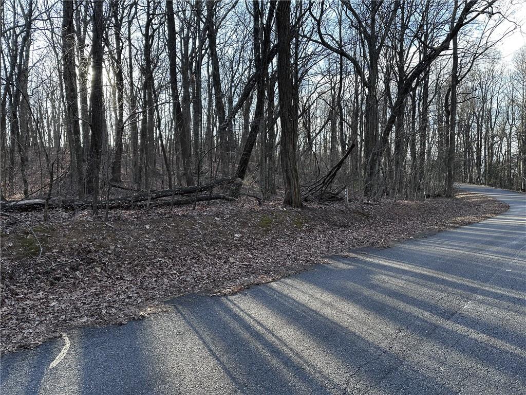 183 St. Andrews Way Ellijay, GA 30536 - Photo 5 of 21 a view of a backyard with large trees