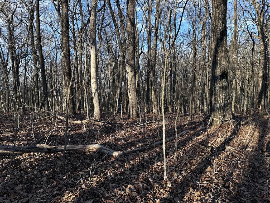 183 St. Andrews Way Ellijay, GA 30536 - Photo 6 of 21 a view of a backyard